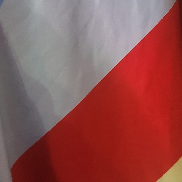 The Dress From 13 Going On 30 Movie! XL!! - Picture 5 of 5